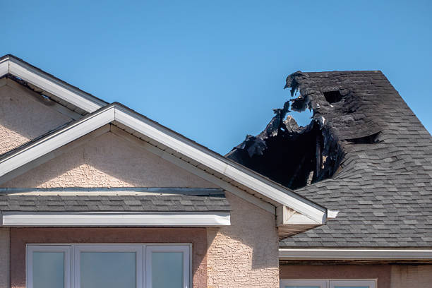 Licensed Content Restoration service in Englewood, OH - Fire Damage Biloxi
